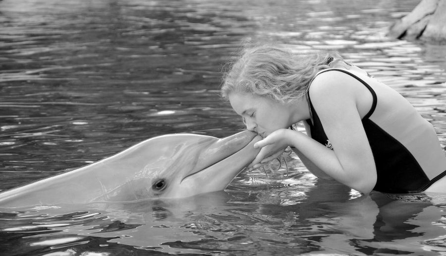 Nothing says spring break like kissing a dolphin. 