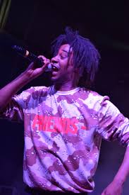 Music Review: Danny Brown